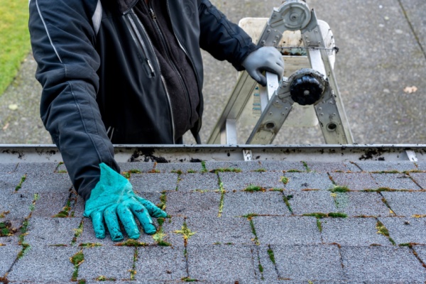 Man inspecting and cleaning dirty moss-covered roof