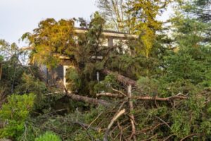 homeowners' insurance - natural causes - bbroofing.com